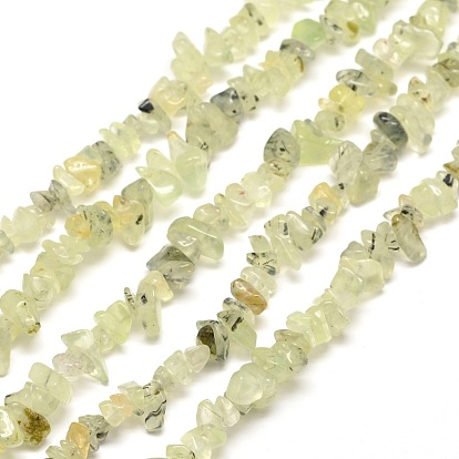 Prehnite Chip Bead Strands, 5~8x5~8mm, Hole: 1mm, about 31.5 inch