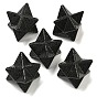 Natural Lava Rock Beads, No Hole/Undrilled, Merkaba Star