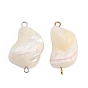 Подвески-соединители из натуральных ракушек, с 304 двойными петлями из нержавеющей стали, цвет морской раковины, ионное покрытие (ip)
