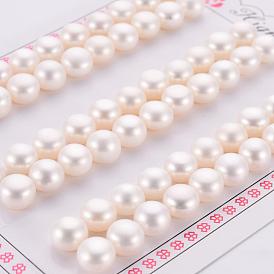 Natural Cultured Freshwater Pearl Beads, Grade 3A, Half Drilled, Rondelle