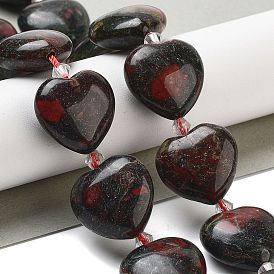 Natural Dragon Blood Beads Strands, Heart, with Seed Beads