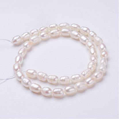 Grade AA Natural Cultured Freshwater Pearl Beads Strands, Oval