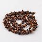 Nuggets Natural Tiger Eye Bead Strands, 4~6x8~12x2~4mm, Hole: 1mm, about 34.6 inch