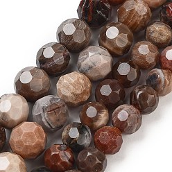 Natural Petrified Wood Beads Strands, Faceted Football Hexagonal Cut, Round