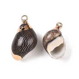 Natural Sea Shell Pendants, Shell Shaped Charms with Golden Tone Iron Loops