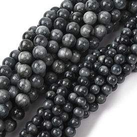 Natural Eagle Eye Stone Beads Strands, Round, Smooth