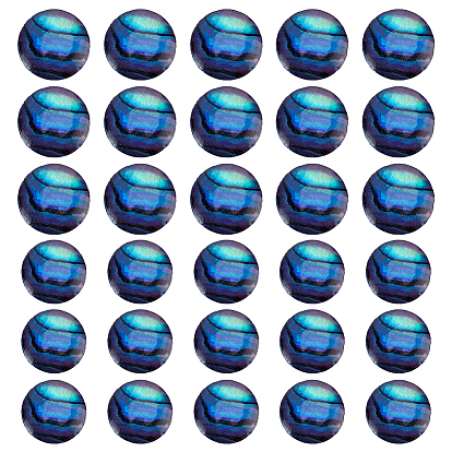 30 шт. 2 стили кабошоны из натуральной раковины морского ушка/ракушки пауа, полукруглые / купольные