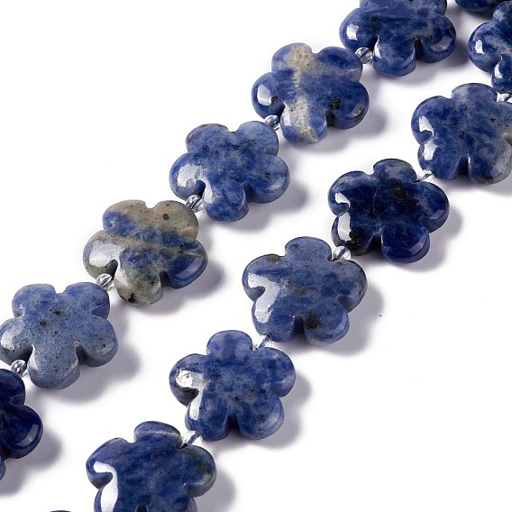 Natural Sodalite Beads Strands, 5-Petal Flower