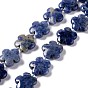 Natural Sodalite Beads Strands, 5-Petal Flower