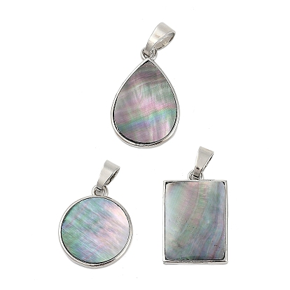 Природные пауа оболочки подвески, латунь прелести, платина