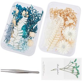 Gorgecraft 2 Sets Dried Flower Material Package, with Stainless Steel Tweezers and Paper Cards, for DIY Bride's Headwear Garland Frame Group Fan Floating