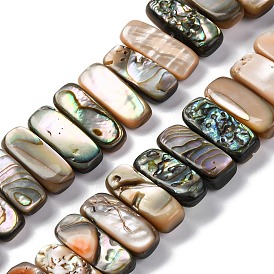 Natural Paua Shell Beads Strands, Rectangle