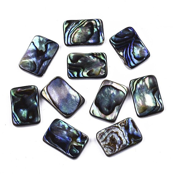 Natural Abalone Shell/Paua Shell Cabochons, with Freshwater Shell, Rectangle