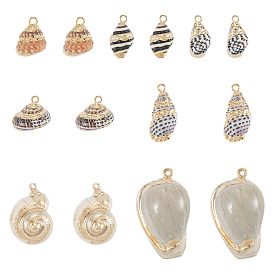14pcs 7 styles pendentifs en coquillages mixtes naturels électroplaqués, breloques en forme de coquillage, avec les accessoires en laiton, or
