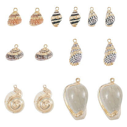 14pcs 7 styles pendentifs en coquillages mixtes naturels électroplaqués, breloques en forme de coquillage, avec les accessoires en laiton, or