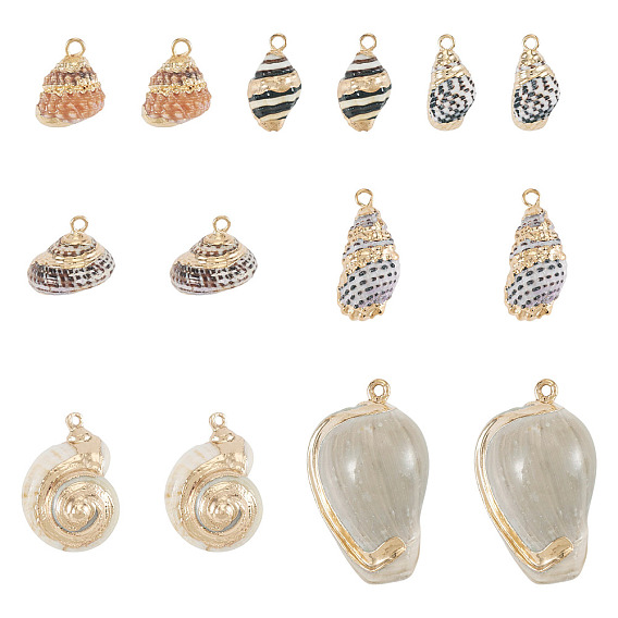 14pcs 7 styles pendentifs en coquillages mixtes naturels électroplaqués, breloques en forme de coquillage, avec les accessoires en laiton, or