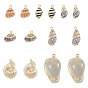 14pcs 7 styles pendentifs en coquillages mixtes naturels électroplaqués, breloques en forme de coquillage, avec les accessoires en laiton, or