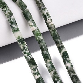 Perles de jaspe tache verte naturelle, prisme hexagonal