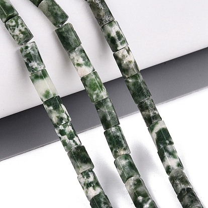 Perles de jaspe tache verte naturelle, prisme hexagonal