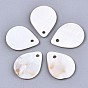 Natural Freshwater Shell Charms, Teardrop