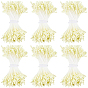 6Bundles Gypsum with Cotton Cord Artificial Flower Core