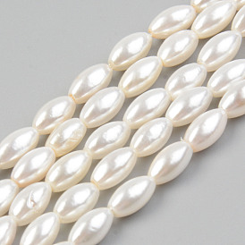 Galvanoplastie des brins de perles de coquille d'eau douce naturelle, riz