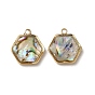 Natural Paua Shell Resin Hexagon Charms, with Brass Findings