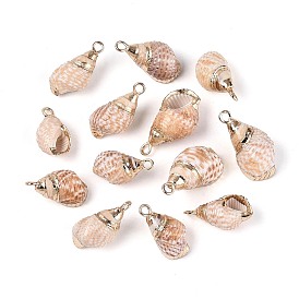 Подвески из натуральных морских ракушек, покрытые гальваническим способом, подвески в форме ракушек, с медными петлями, золотые
