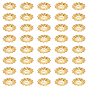 40Pcs Brass Bead Caps, Cadmium Free & Nickel Free & Lead Free, Flower