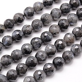 Natural Larvikite Beads Strands, Faceted, Round, Gray