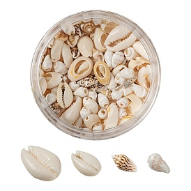 4 perles de coquillages naturelles mélangées de cauris, coquillage cauris & coquillage trompette & coquillages spirale perles