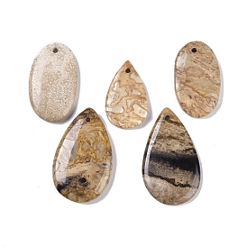 Pendentif fossile de noix de coco naturelle, larme