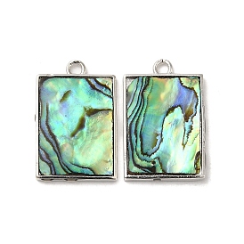 Natural Paua Shell Pendants, Rectangle Charms with Brass Findings