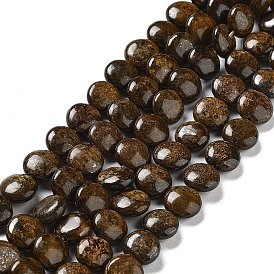 Natural Bronzite Beads Strands, Flat Round