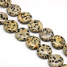 Naturelles plates rondes dalmatien jaspe perles brins