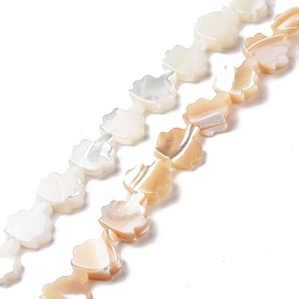 Natural Trochid Shell Beads Strands, Tree
