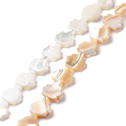 Natural Trochid Shell Beads Strands, Tree