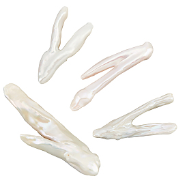 Nbeads Natural Keshi Pearl Beads, Cultured Freshwater Pearl, No Hole/Undrilled, Chicken Feet