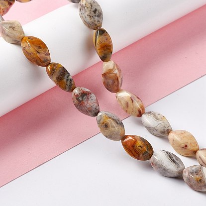 Natural Crazy Agate Beads Strands, Twist