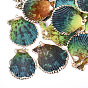 Spray Paint & Electroplate Sea Shell Pendants, with Iron Findings, Light Gold