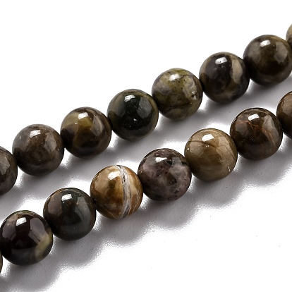 Round Natural Ocean Agate/Ocean Jasper Beads Strands