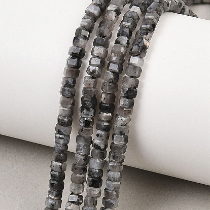 Натуральные нити бус из ларвикита, граненые, шестиугольник