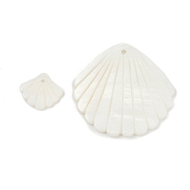 Природные подвески оболочки пресноводных, подвески в форме ракушек
