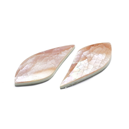 Natural Shell Cabochons, Teardrop