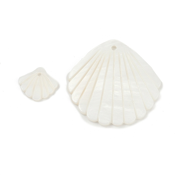 Природные подвески оболочки пресноводных, подвески в форме ракушек