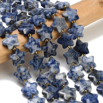 Natural Blue Spot Beads Strands, Faceted, Star, with Seed Beads