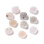 Natural Druzy Agate Cabochons, Square