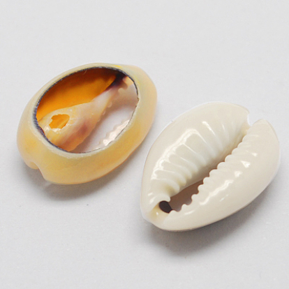 Natural Cowrie Shell Beads, Oval, No Hole/Undrilled