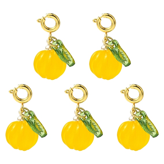 5шт. подвесные украшения из натурального агата, с латунной застежкой 