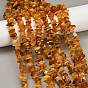Натуральные янтарные бусины бусины нити, чип